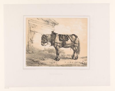 Caballo con silla de montar y cabestro
Varios animales (título de la serie)
Études d