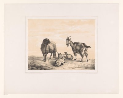 Oveja, cabra y tres cabritos
Varios animales (título de la serie)
Études d