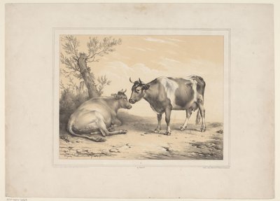 Twee koeien Varios tamme dieren (título de la serie) Trece sujetos de animales domésticos y nativos (título de la serie) de Eugène Verboeckhoven