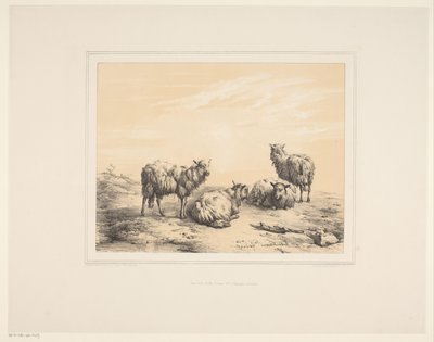 Vier schapen
Diverse dieren (título de la serie)
Études d