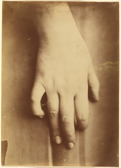 Estudio de una mano de European 19th Century