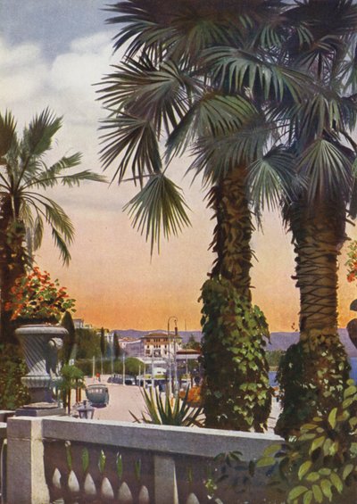 Abbazia, ahora Opatija en Croacia: Vista de palmeras desde el Hotel Bellevue de European Photographer