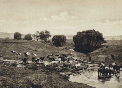 Australia, Ganado, Queensland de European Photographer