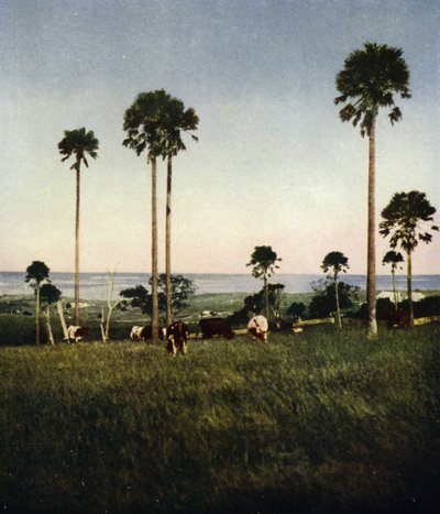 Australia, Illawarra de European Photographer