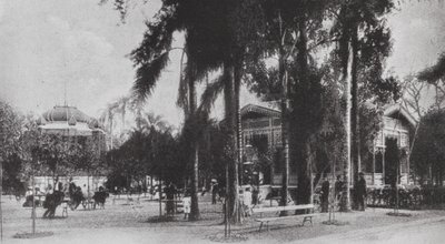 Brasil: San Paolo, Jardim da Luz (foto b/n) de European Photographer