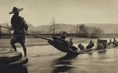China, pesca con cormoranes de European Photographer