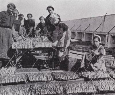 Secado de sardinas de European Photographer