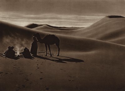Atardecer en el desierto (foto b/n) de European Photographer