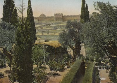 Jardín de Getsemaní de European Photographer