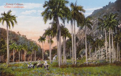 La Habana, Cuba: Paisaje Cubano de European Photographer
