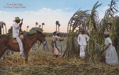 La Habana, Cuba: Cortando caña de azúcar (foto) de European Photographer