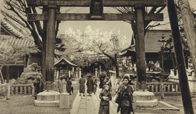Japón, Calle en Tokio, época de floración de cerezos de European Photographer
