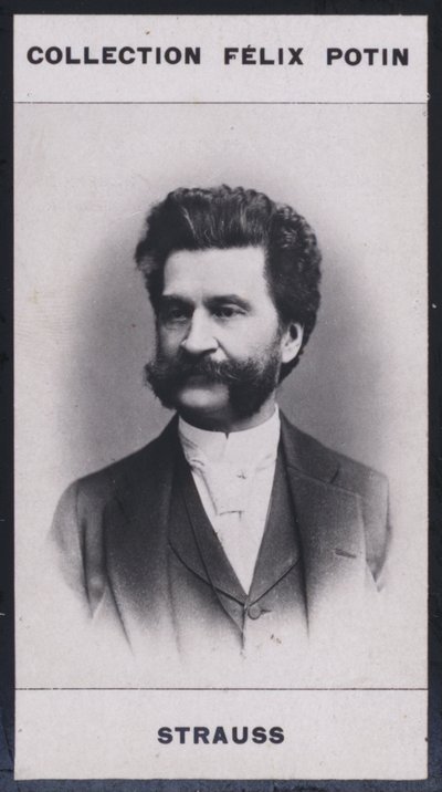 Johann Strauss (1825-1899) de European Photographer