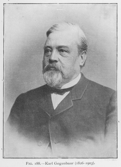 Karl Gegenbaur (1626-1903), retrato de European Photographer