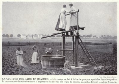 El Cultivo de Rábanos en Baviera de European Photographer