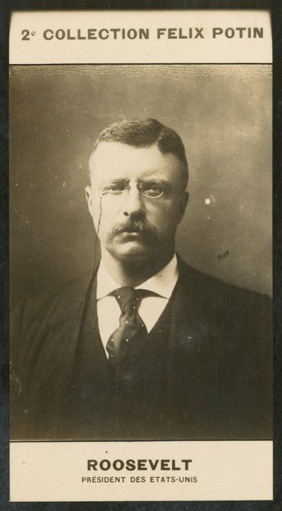 Theodore Roosevelt, Presidente de los Estados Unidos de European Photographer