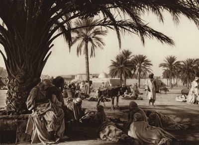 Oasis de Touggourt (foto b/n) de European Photographer