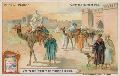 Una caravana saliendo de Fez de European School