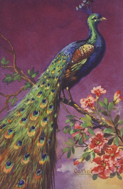 Un pavo real sentado en un árbol con flores de European School