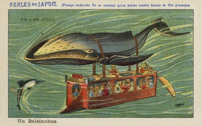 Un autobús ballena en el año 2000 de European School