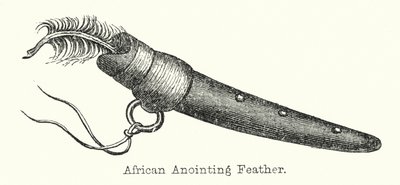 Pluma de ungüento africana de European School