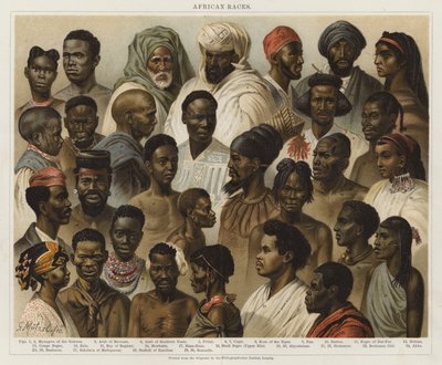 Razas Africanas de European School