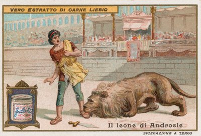 Androcles y el león de European School