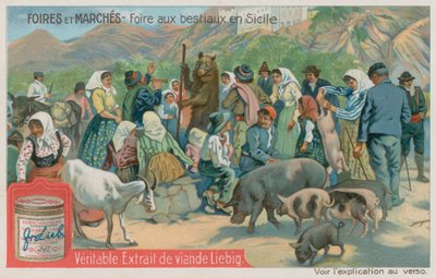 Feria de Animales en Sicilia de European School