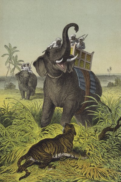 Animales y plantas de la India de European School