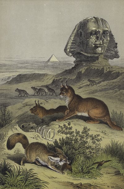 Animales de Egipto de European School