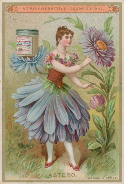 Niña flor de aster de European School