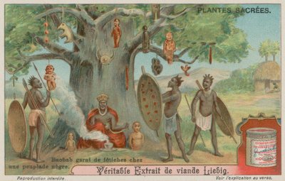 Árbol de baobab colgado con fetiches por una tribu africana de European School