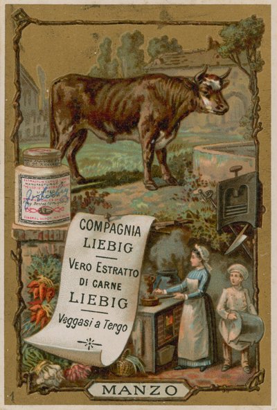 Carne de res de European School