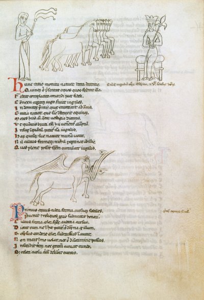 Bestiario: el caballo de European School