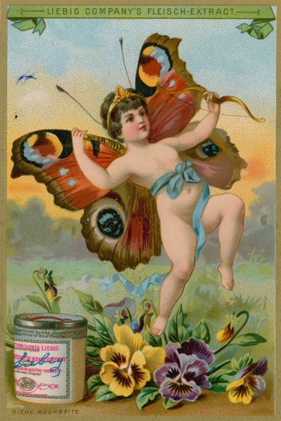 Querubín mariposa con pensamientos de European School