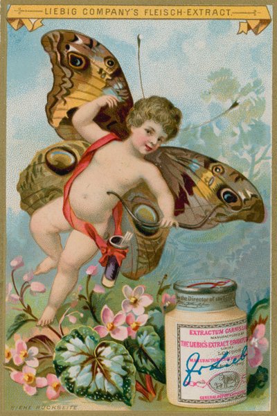 Querubín mariposa con flores rosas de European School