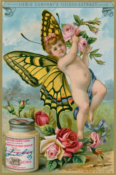 Querubín mariposa con rosas rojas de European School