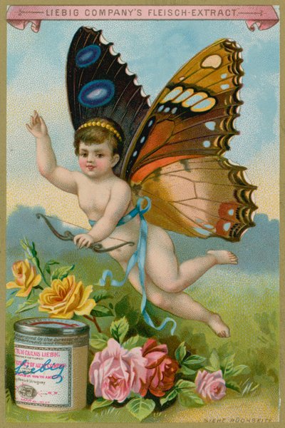 Querubín mariposa con rosas de European School