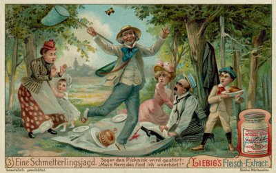 Caza de mariposas y picnic de European School