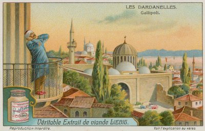 Llamada a la oración, Gallipoli de European School