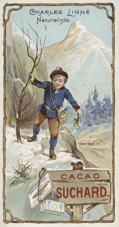 Carl Linnaeus, botánico y zoólogo sueco, de niño de European School
