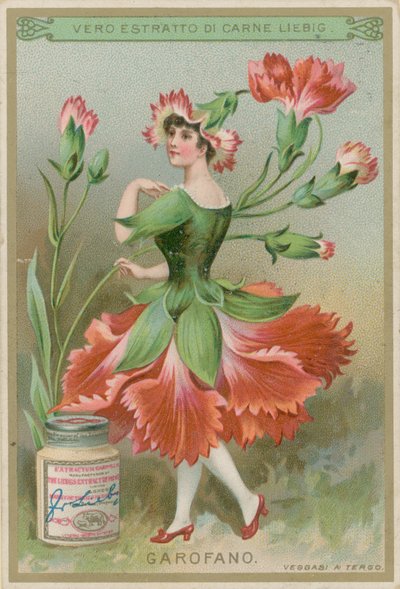 Niña flor de clavel de European School