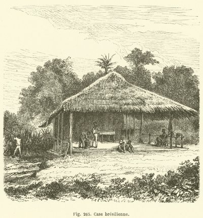 Casa brasileña (grabado) de European School