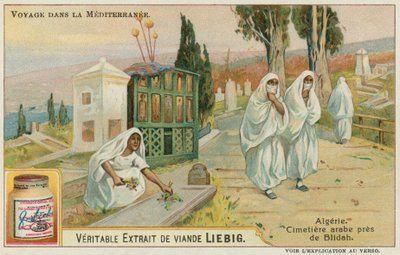 Cementerio Cerca de Blida en Argelia de European School
