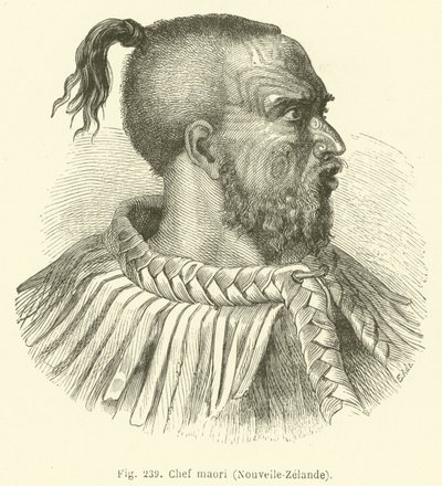 Jefe maorí, Nueva Zelanda (grabado) de European School