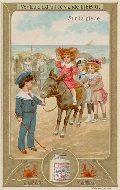 Niños montando burros de European School