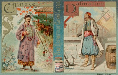 Chino y Dálmata de European School