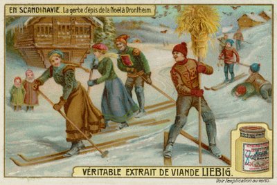Manojo de trigo navideño en Trondheim de European School