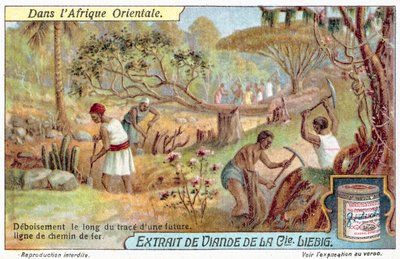 Despejando la ruta para una línea de ferrocarril de European School