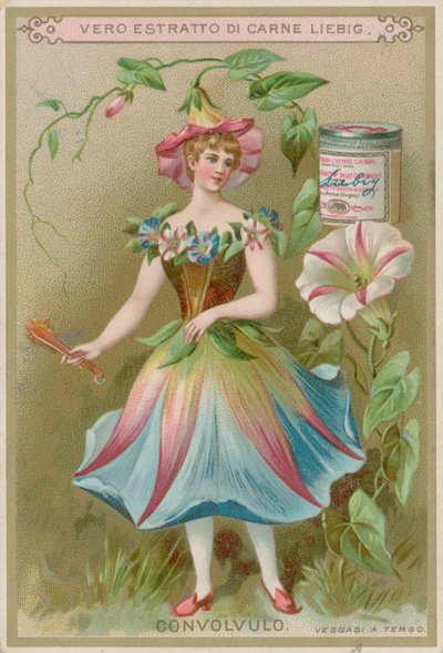 Niña flor de convolvulus de European School